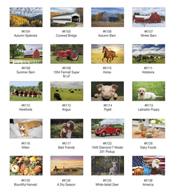 4102 - Farm Pocket