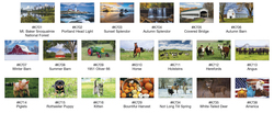 CHSPKT - 12-Pocket Farm Memo Wall Calendar 